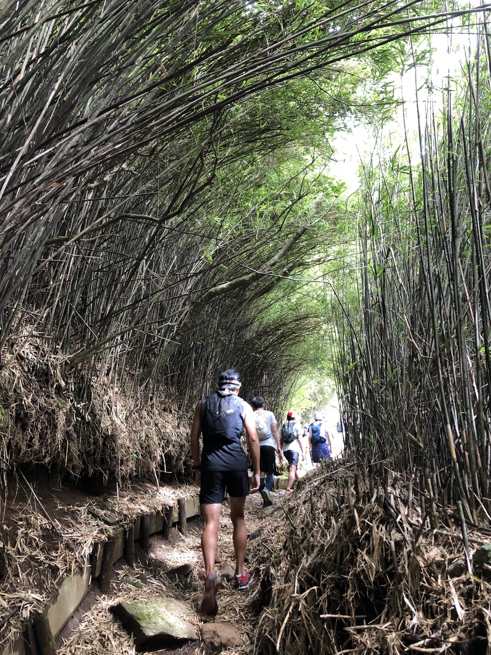 天下の秀峰・金時山へピークハント！〜Runtrip TRAIL 箱根〜の写真5