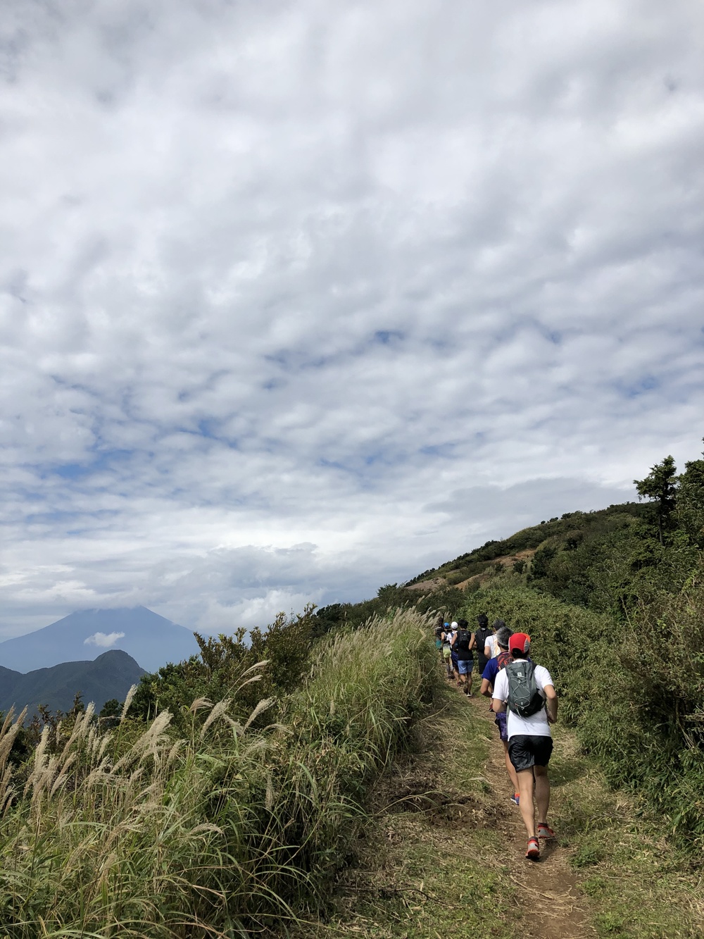 天下の秀峰・金時山へピークハント！〜Runtrip TRAIL 箱根〜の写真6
