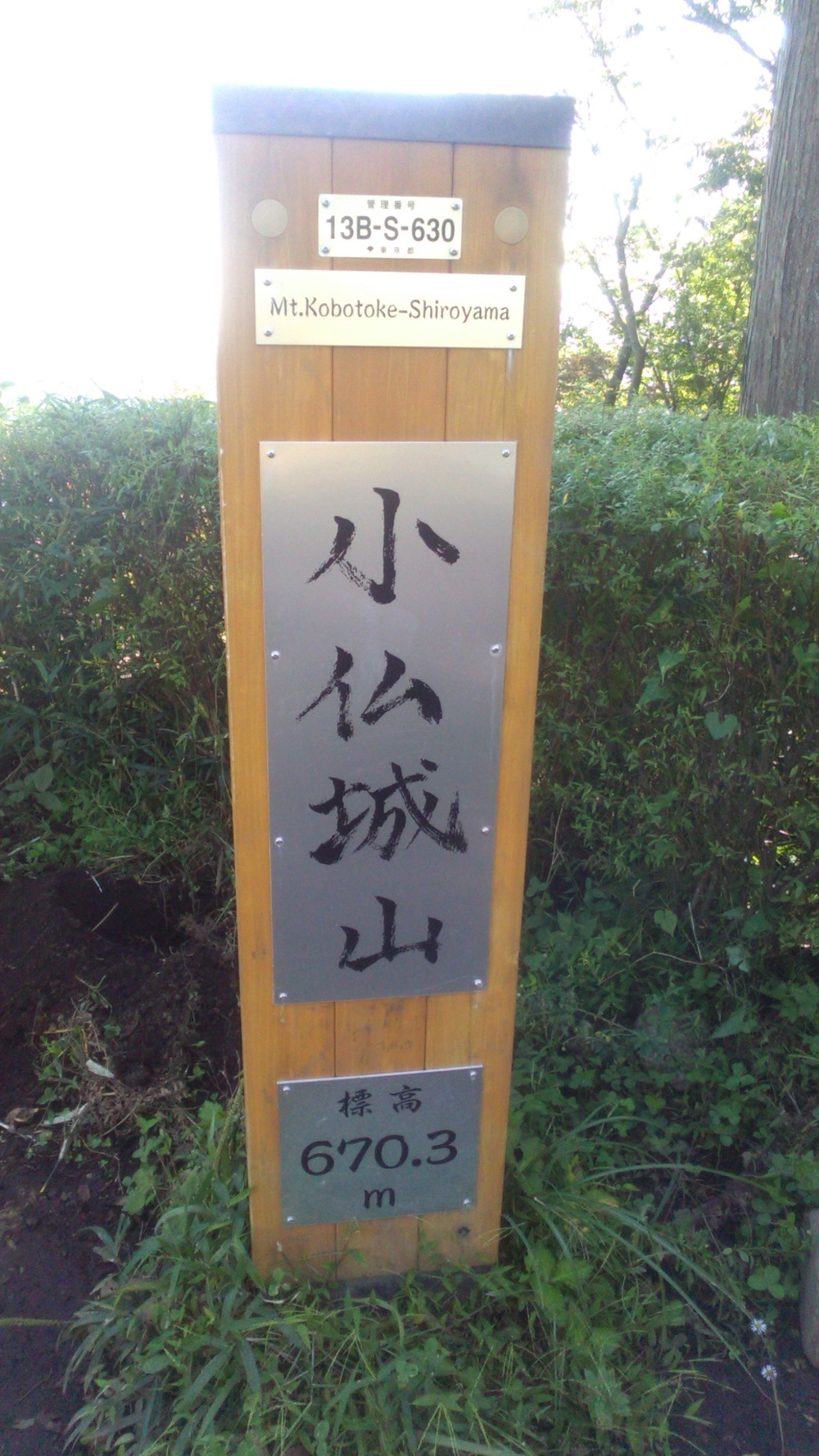 高尾駅〜景信山　往復トレランの写真3