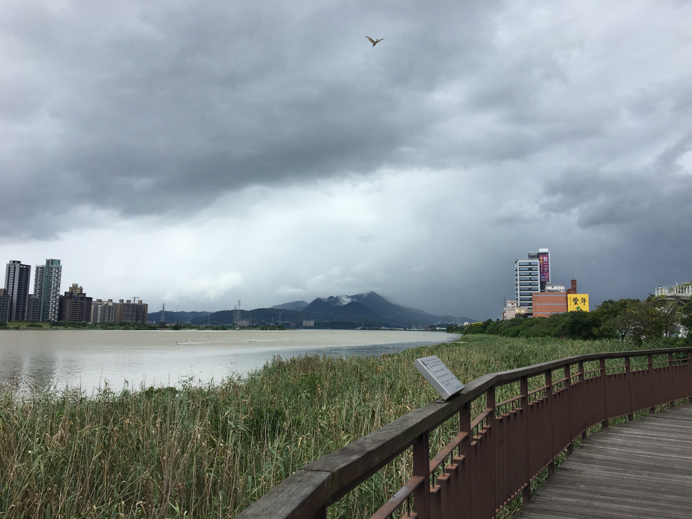 川沿いのジョギングコースが見事に整備されています。の写真4