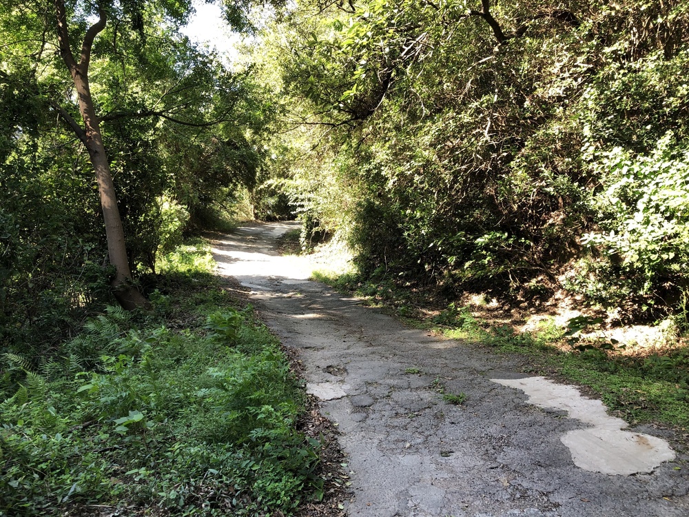 トレイルと玉野で一番？の激坂アタックの写真3