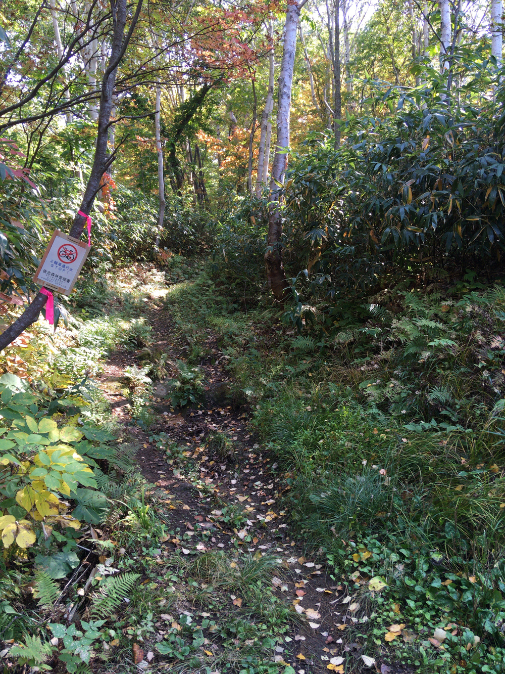 山ありスキー場ありロードあり街ありの起伏に富んだコースの写真3