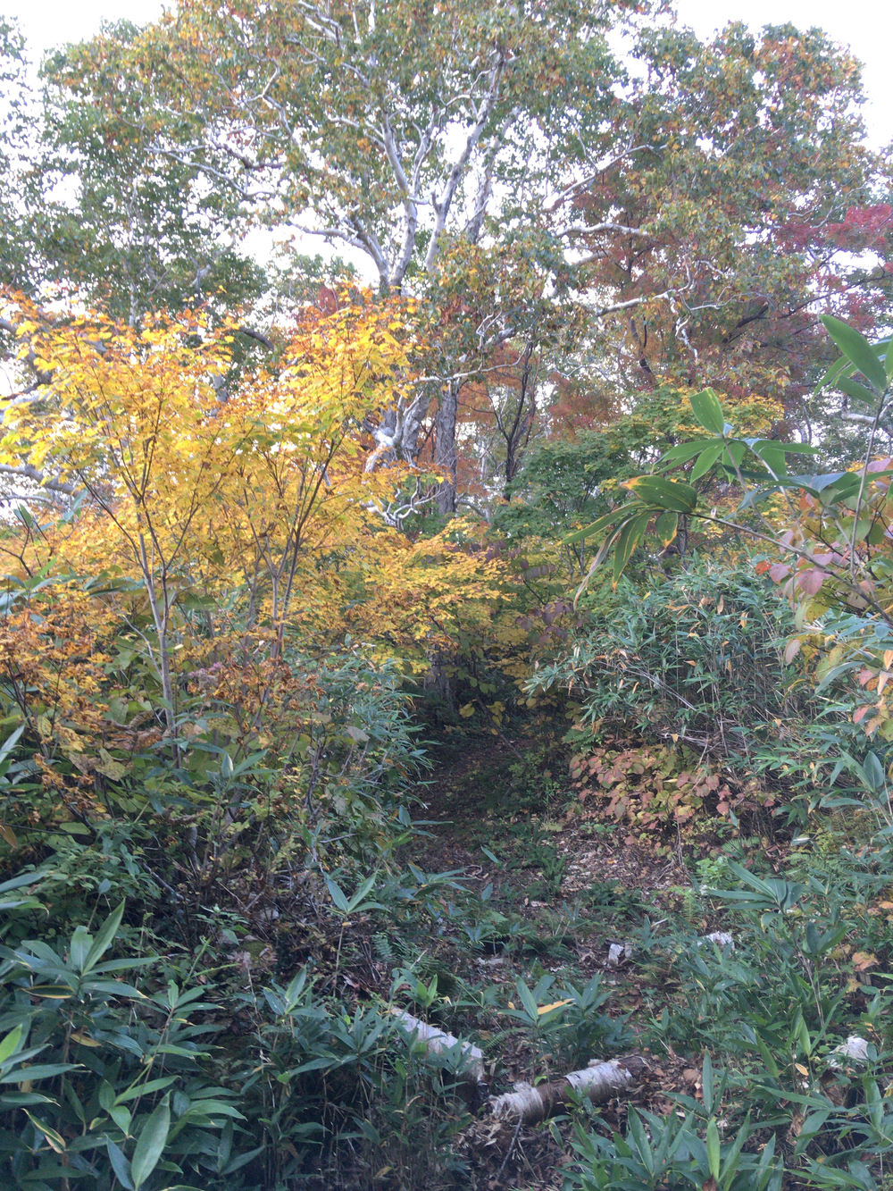 山ありスキー場ありロードあり街ありの起伏に富んだコースの写真9