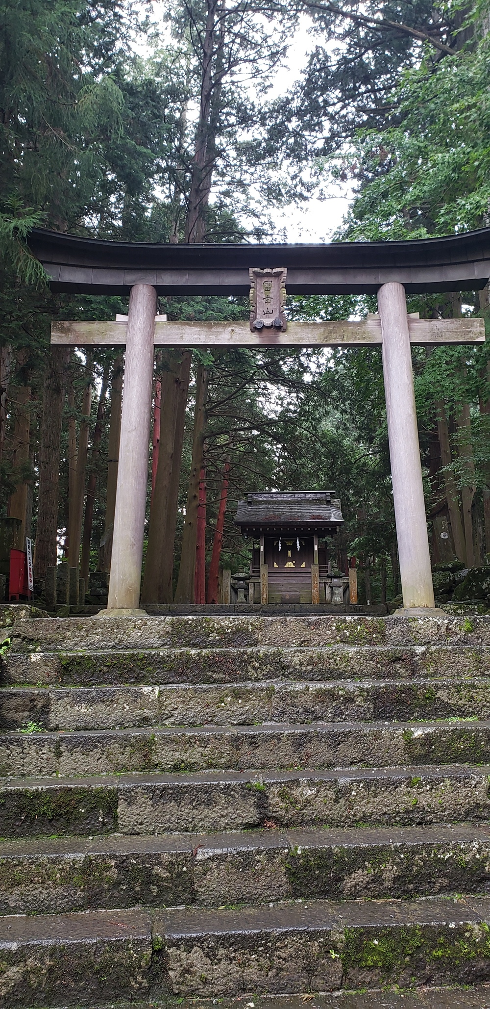 富士山 浅間神社～中の茶屋 トレイルウォーキングの写真3