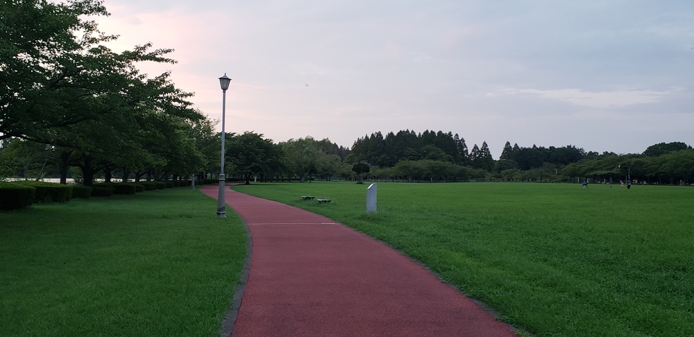 三郷公園～水元公園ジョグの写真3