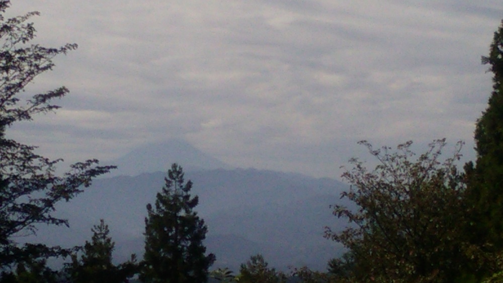 高尾山〜陣馬山　トレイルの写真3