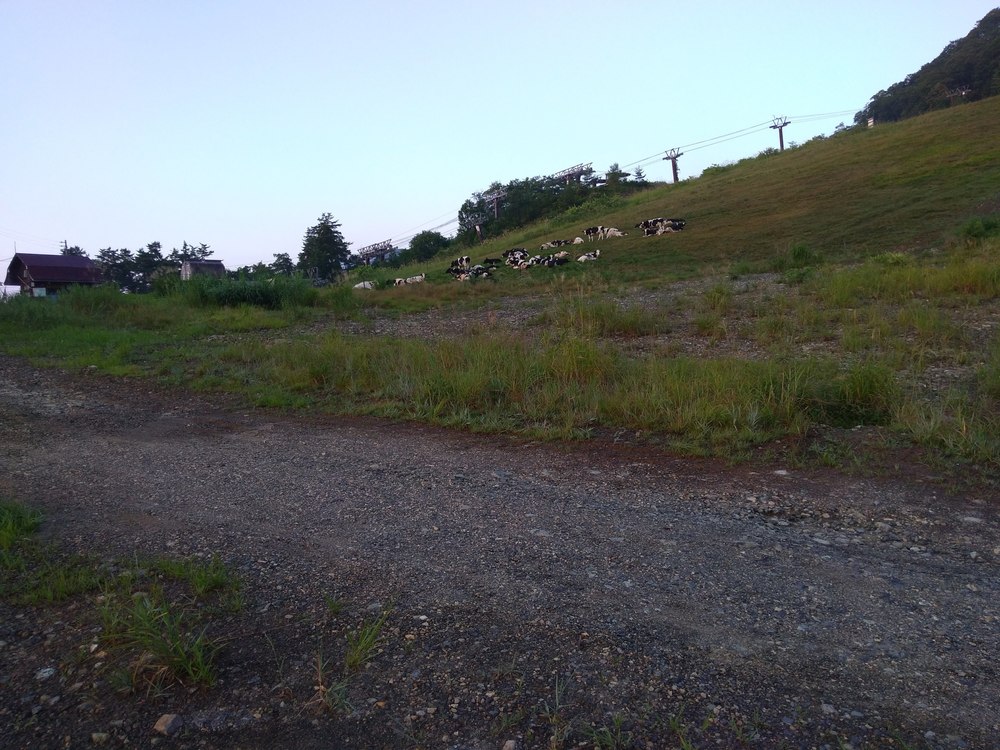 長野県白馬村ジャンプ台近くのスキー場林道を散策の写真6