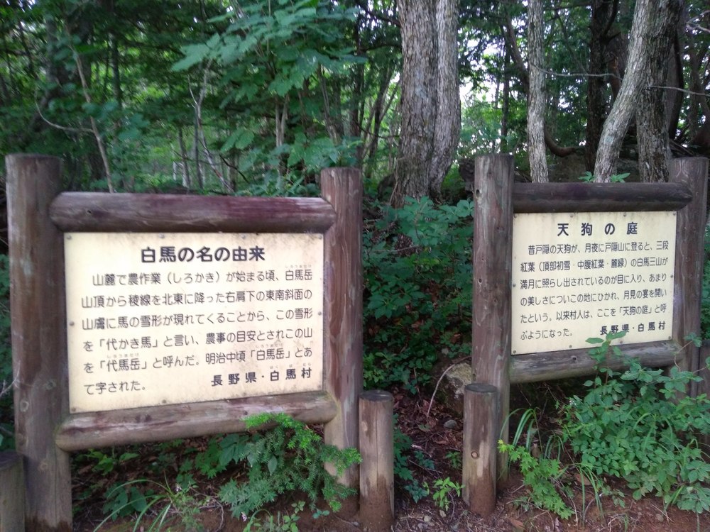 長野県白馬村　岩岳　マウンテンハーバーの写真4