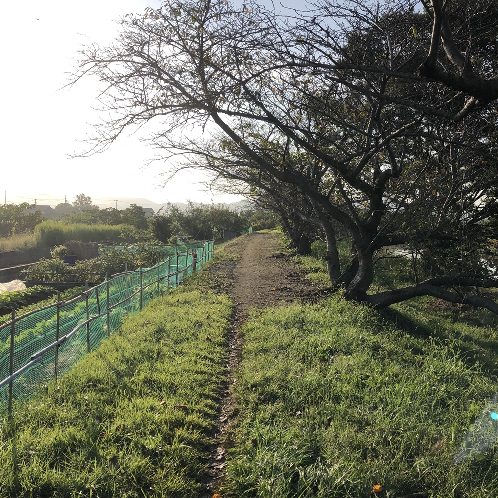 岡山市南区七区一周クロカン的コースの写真8