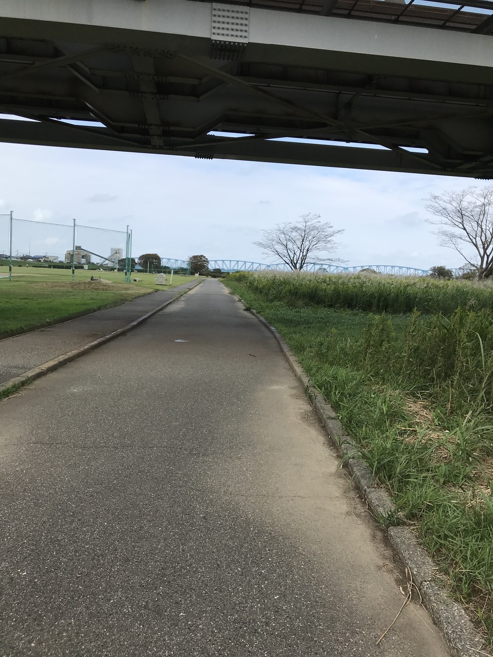 一周約3キロ強？の周回コースの写真3