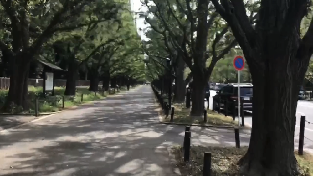 MGC後半10kmの写真24