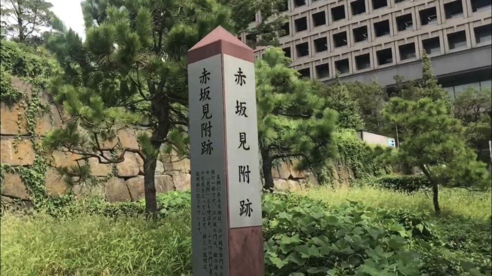 MGC後半10kmの写真26