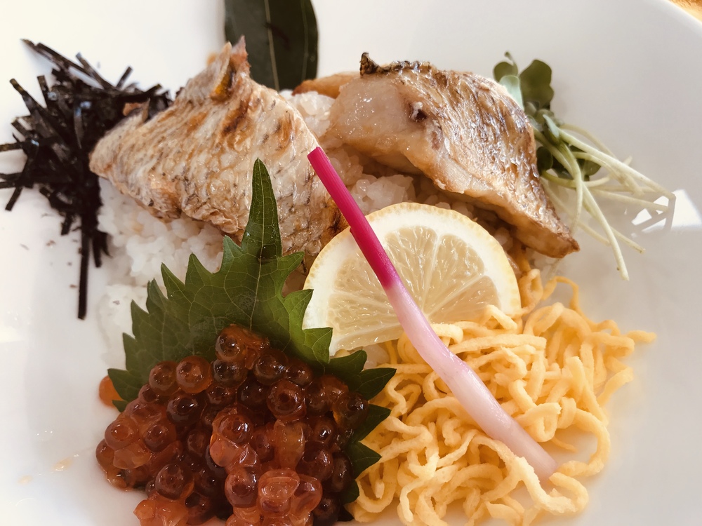 信濃川沿いを長岡→寺泊へ。ゴールは日帰り温泉の写真6