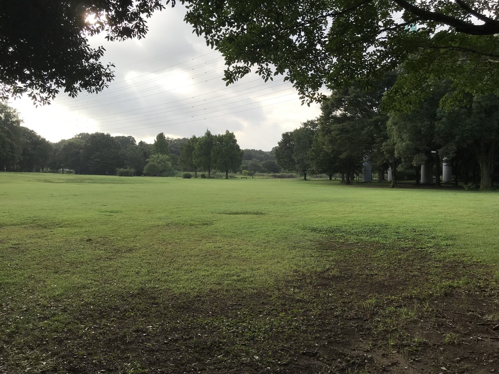 見沼ジョグ、通船掘公園→見沼自然公園の写真3