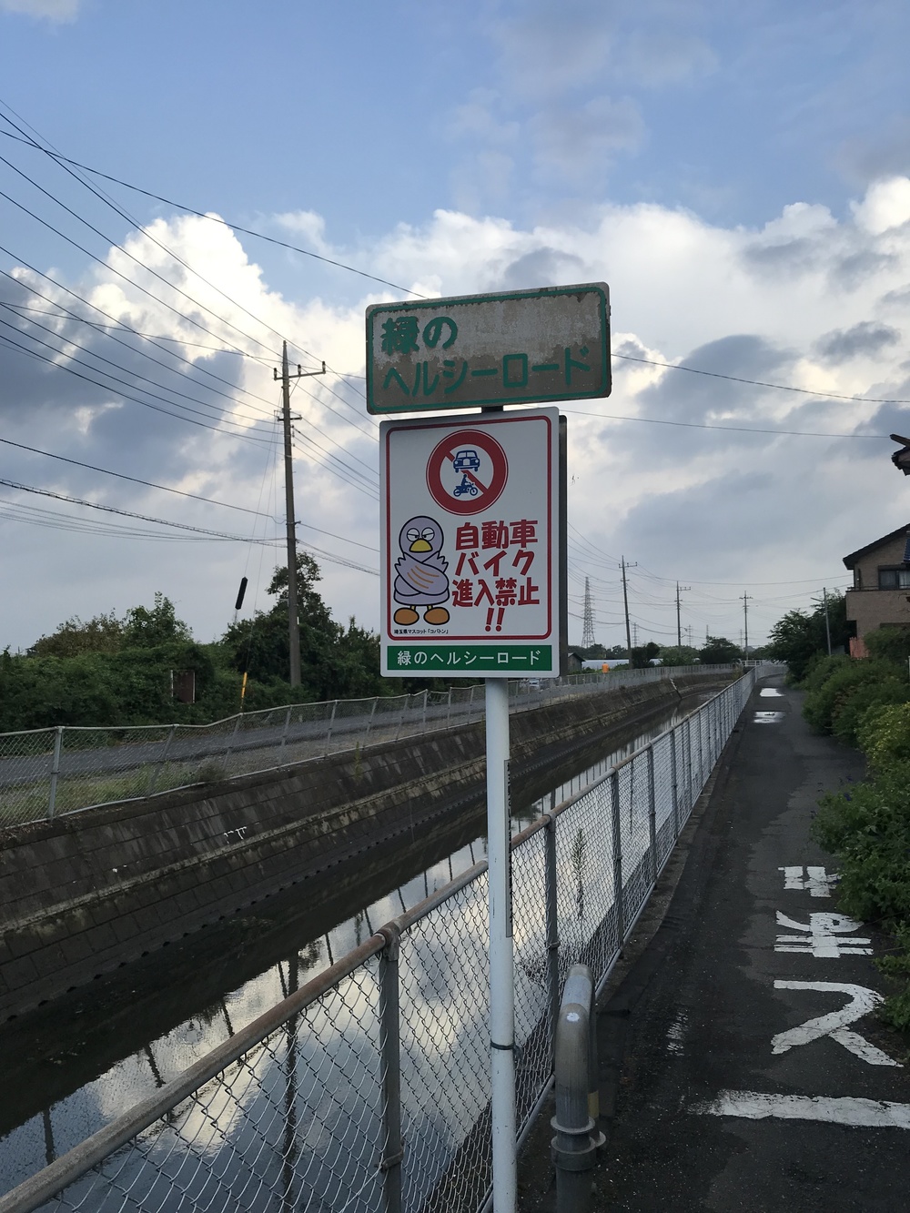 見沼ジョグ、通船掘公園→見沼自然公園の写真5