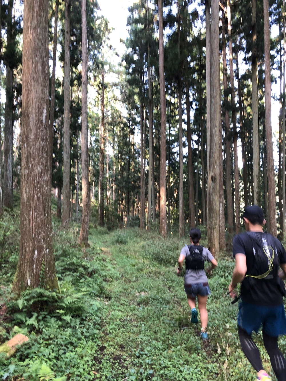 根羽村の、森と人とをつなぐ道 〜Neba Trail Workers〜の写真5