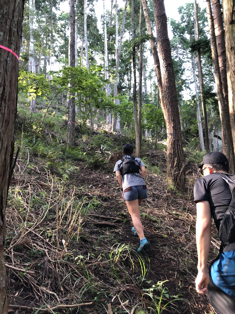 根羽村の、森と人とをつなぐ道 〜Neba Trail Workers〜の写真6