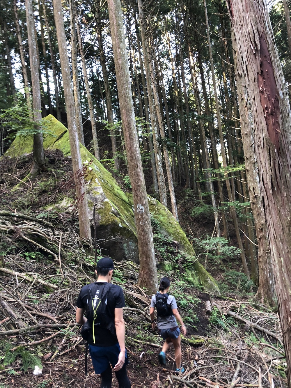 根羽村の、森と人とをつなぐ道 〜Neba Trail Workers〜の写真7