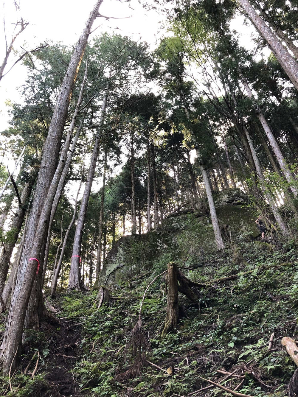 根羽村の、森と人とをつなぐ道 〜Neba Trail Workers〜の写真8