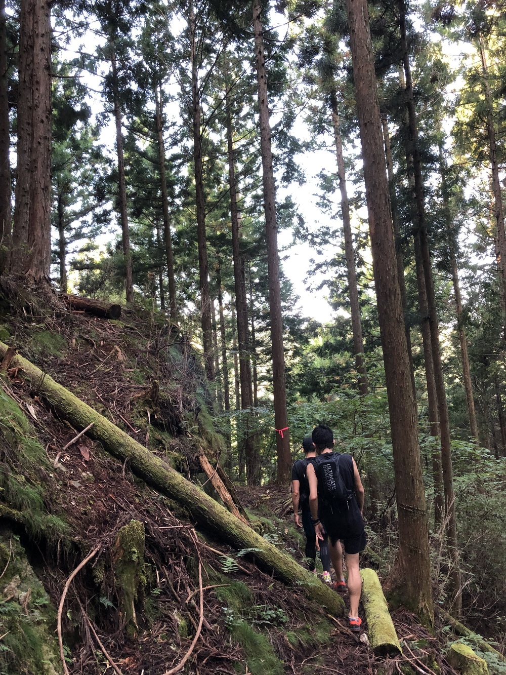 根羽村の、森と人とをつなぐ道 〜Neba Trail Workers〜の写真9