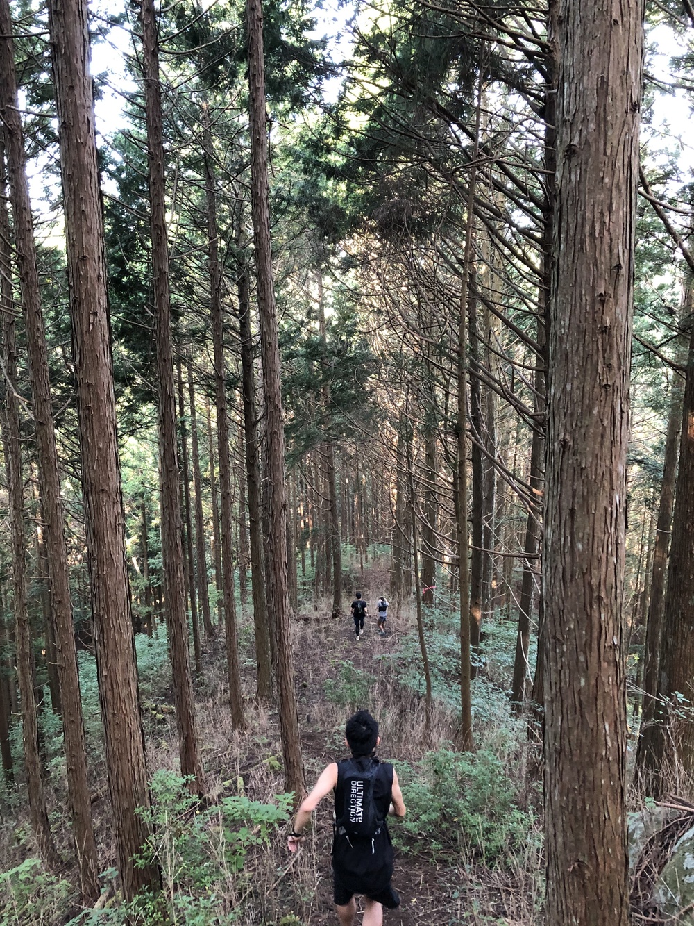 根羽村の、森と人とをつなぐ道 〜Neba Trail Workers〜の写真10