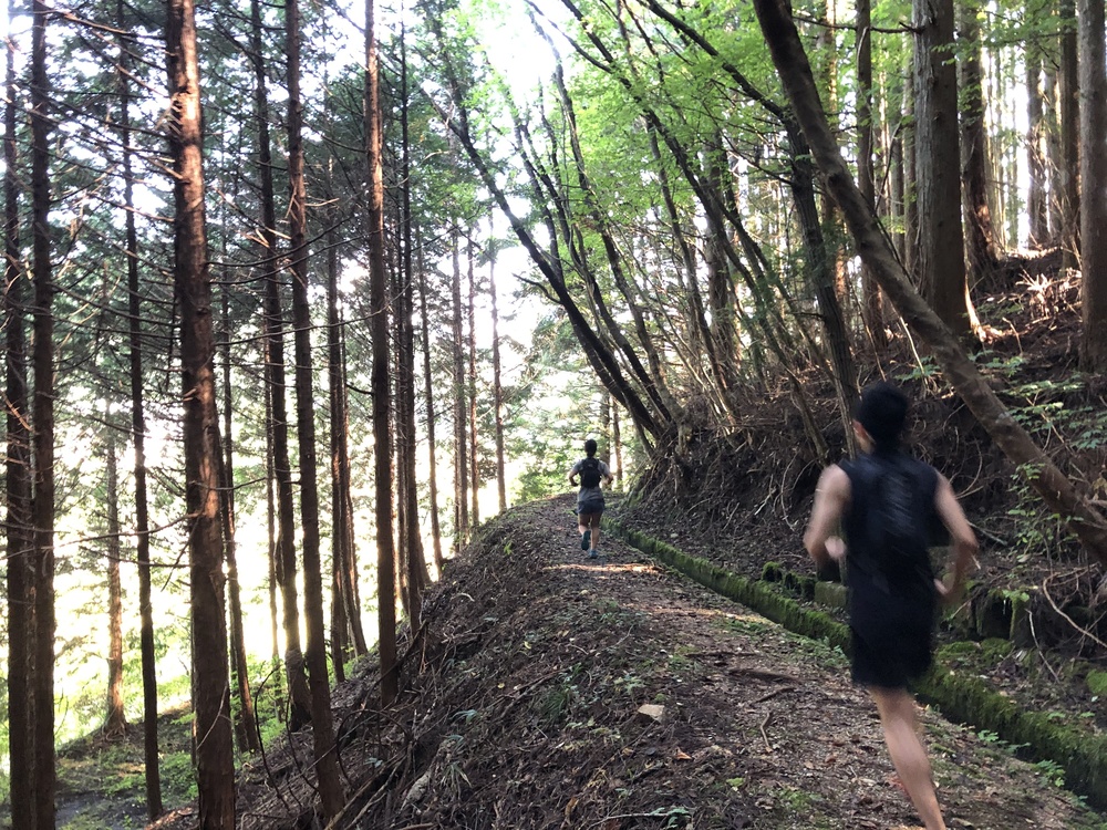 根羽村の、森と人とをつなぐ道 〜Neba Trail Workers〜の写真11