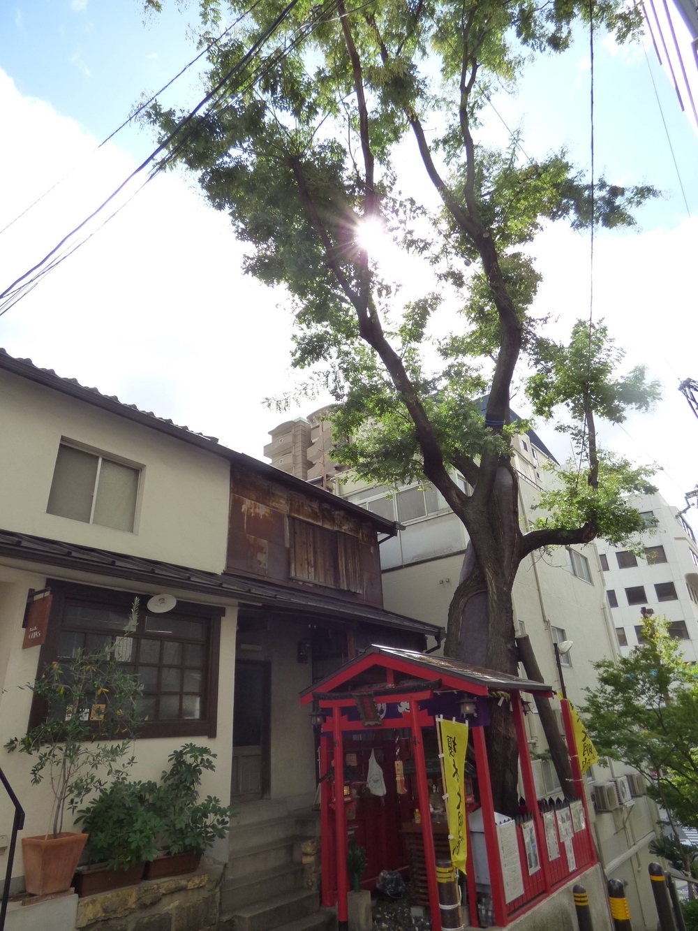 大阪城の周りをめぐりますの写真5