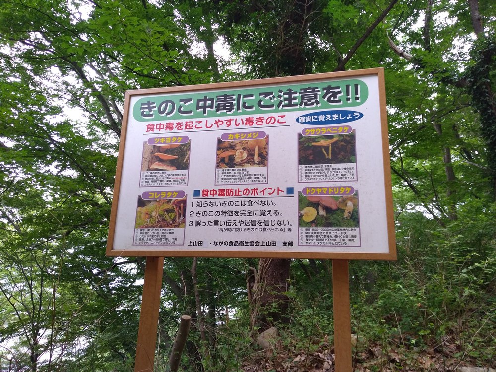 長野　上山田〜聖高原線の写真4