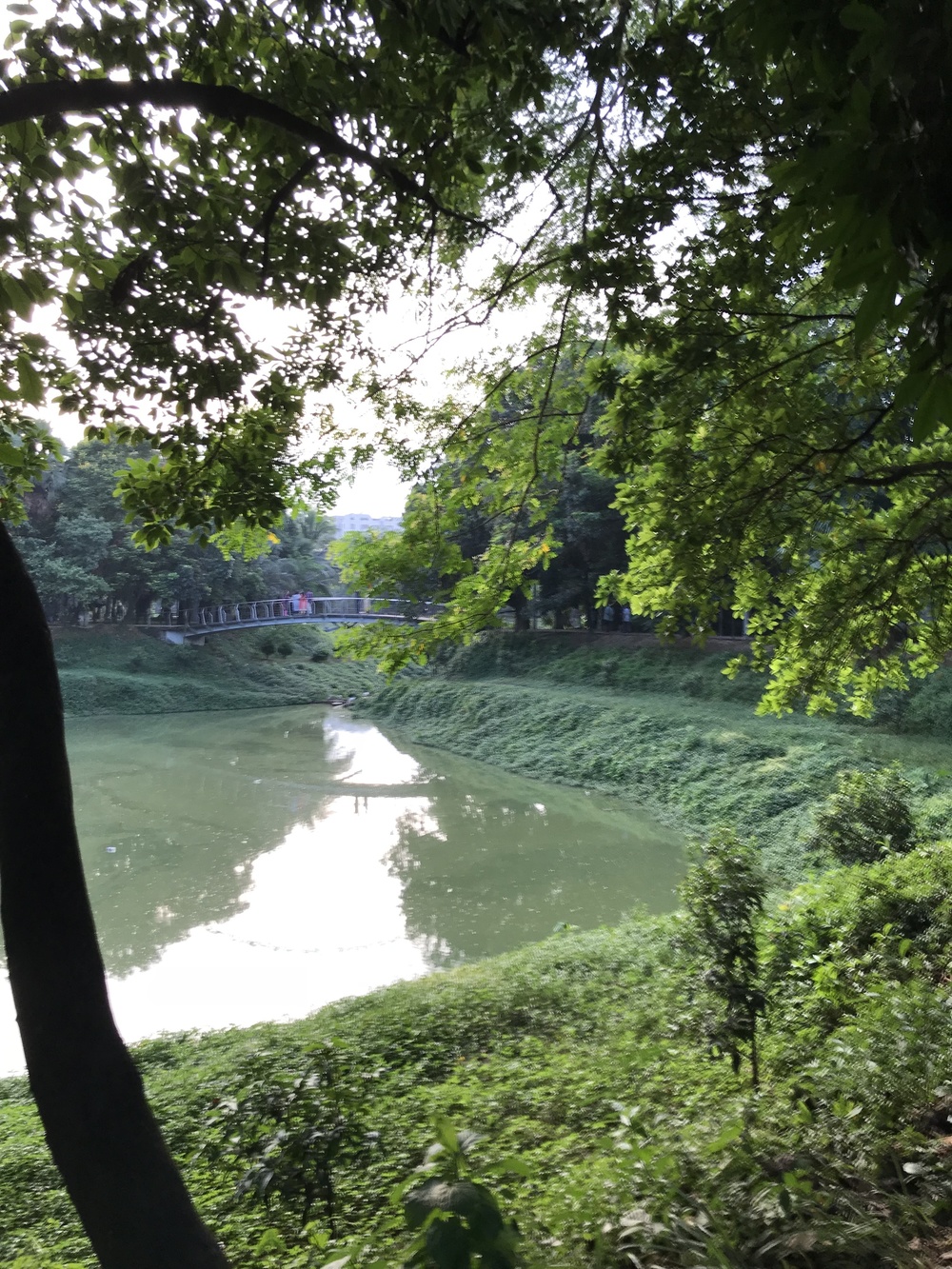 バングラデシュ、ダッカ、街中と公園をの写真4