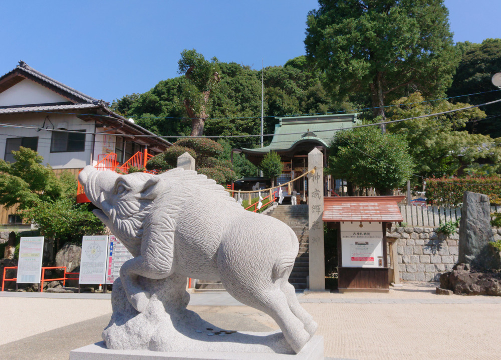 健脚健康の神様 妙見神社へRuntripの写真14