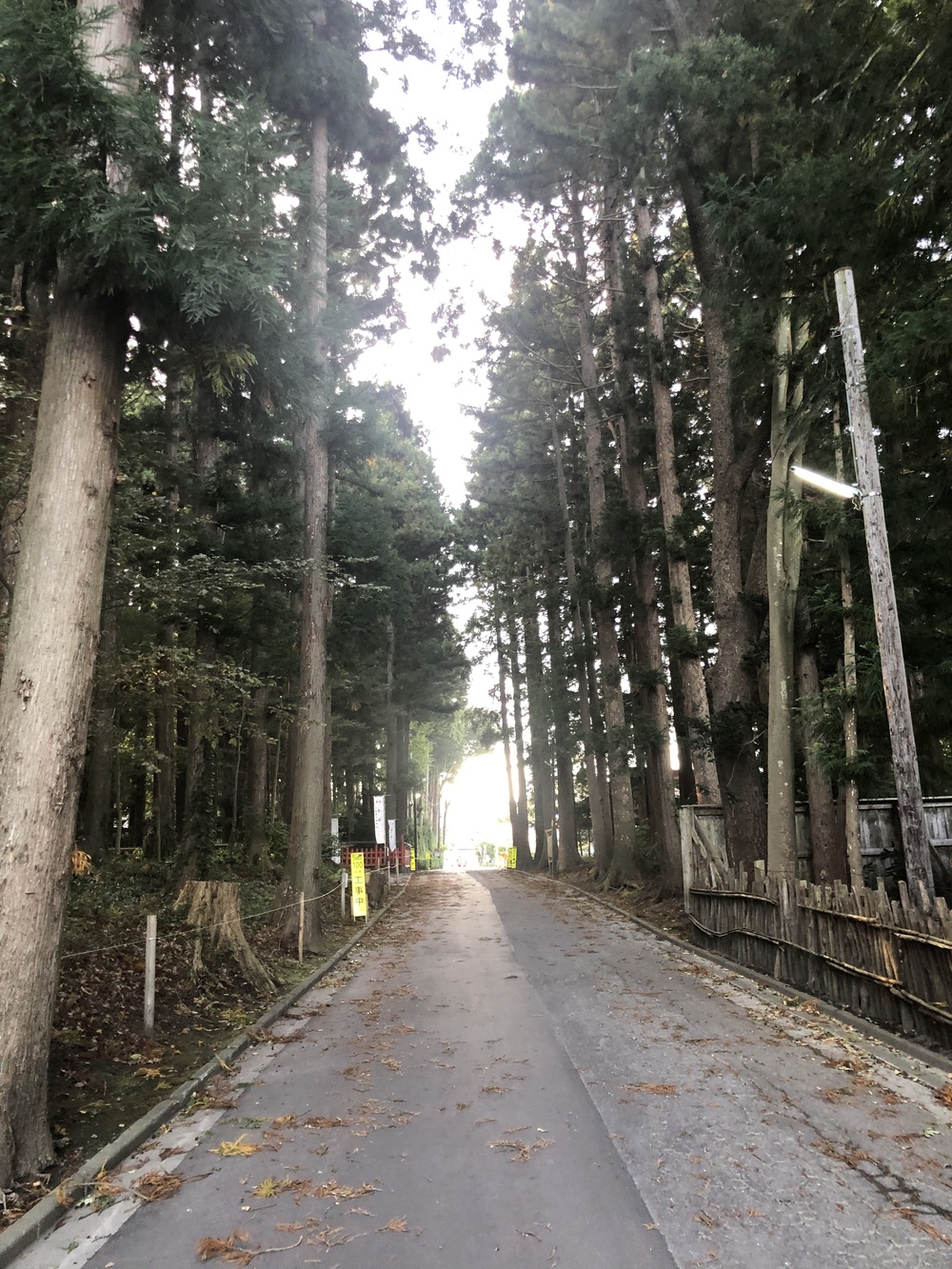 八戸一周朝ランの写真4