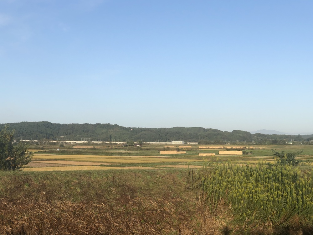 八戸一周朝ランの写真7