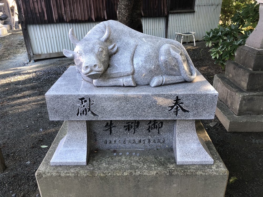 八戸一周朝ランの写真11