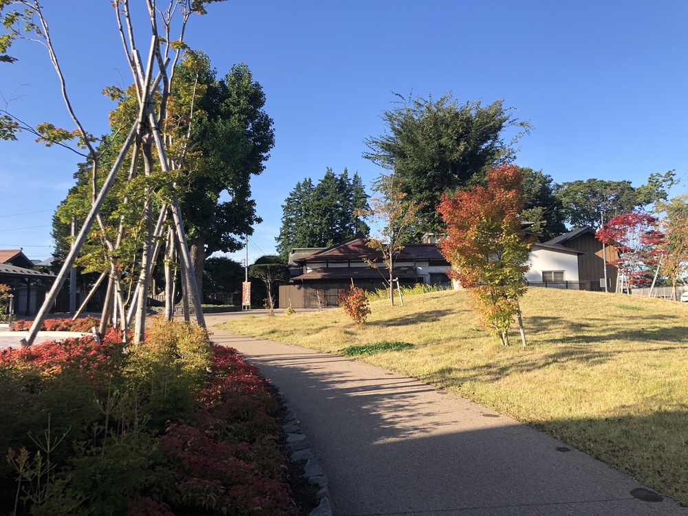 八戸一周朝ランの写真12