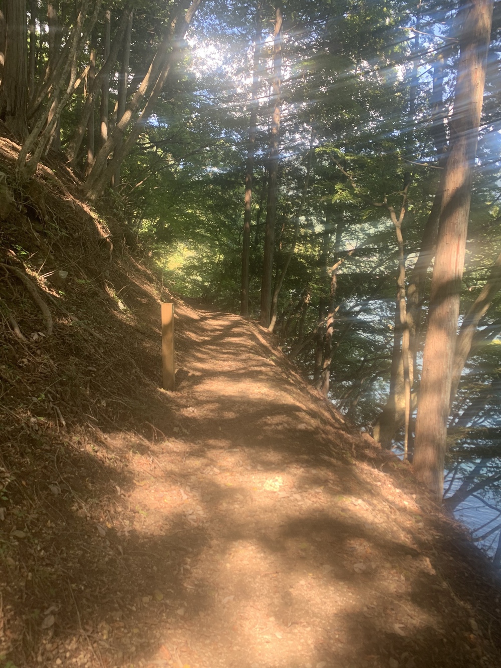 都心から2時間 奥多摩湖 いこいの道クロスカントリー12kmの写真4