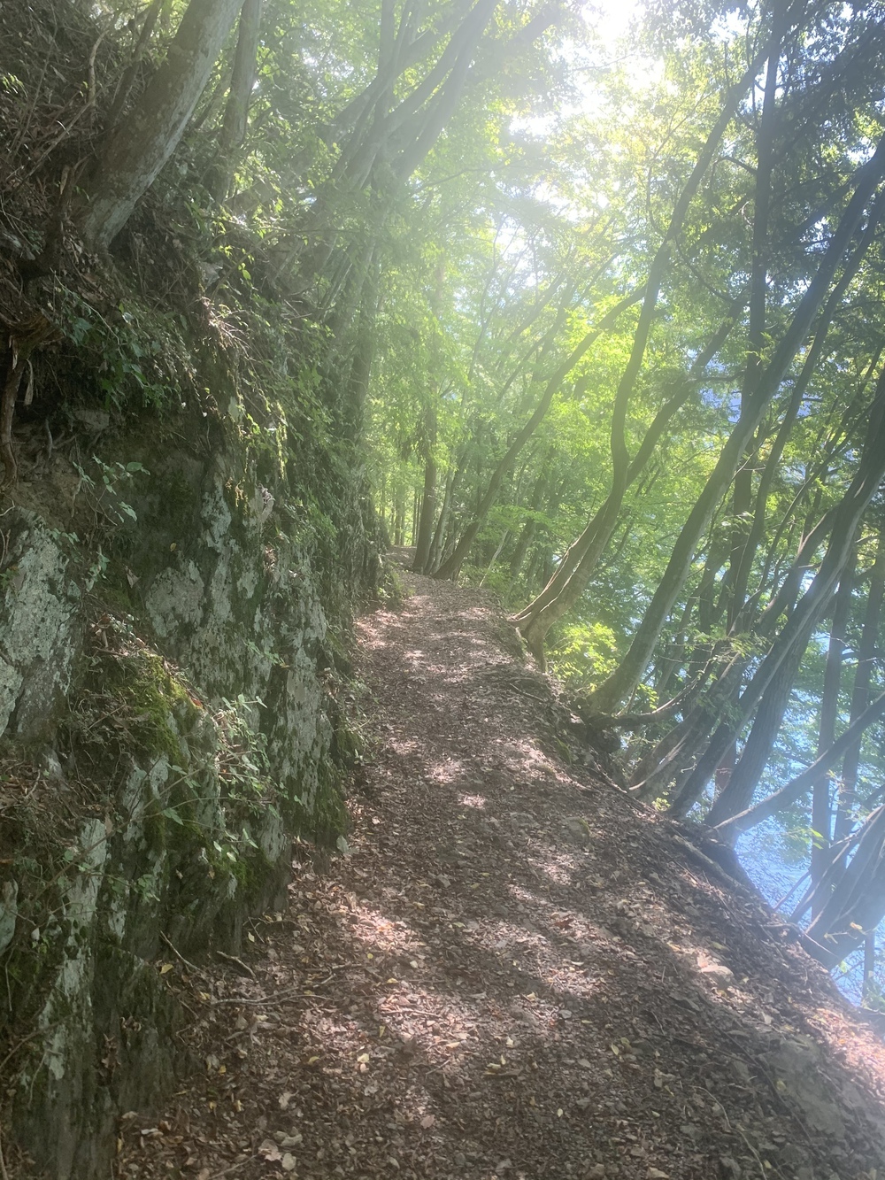 都心から2時間 奥多摩湖 いこいの道クロスカントリー12kmの写真6