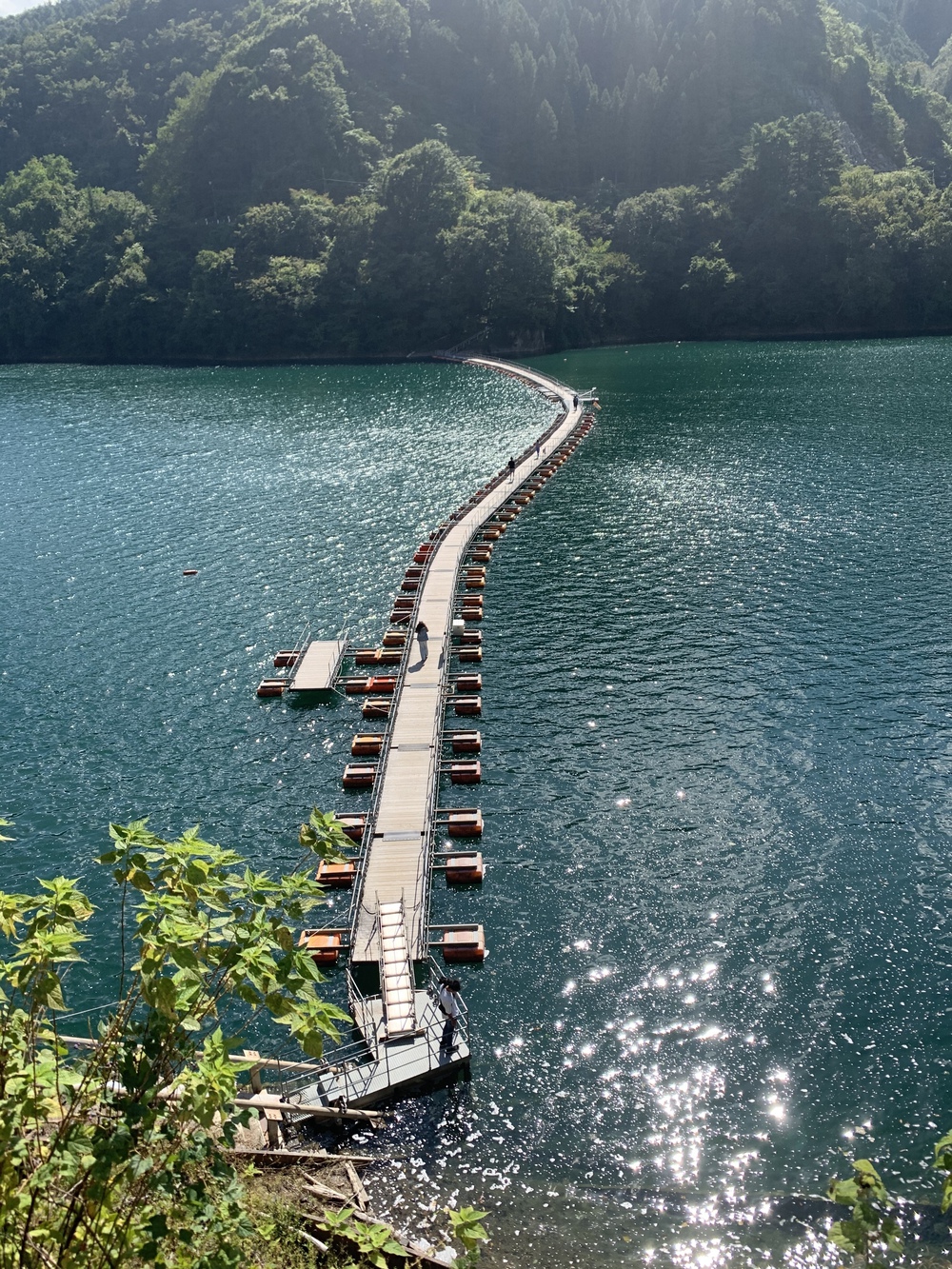 都心から2時間 奥多摩湖 いこいの道クロスカントリー12kmの写真9