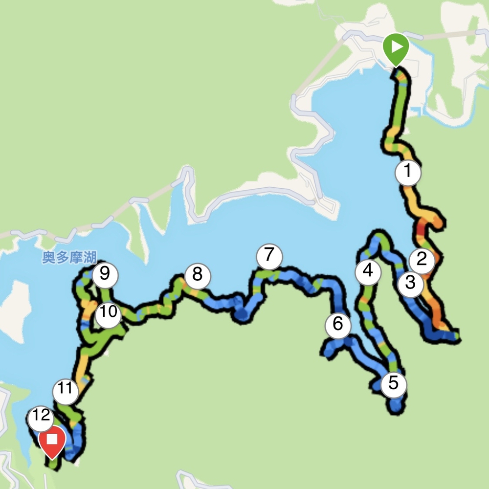都心から2時間 奥多摩湖 いこいの道クロスカントリー12kmの写真13