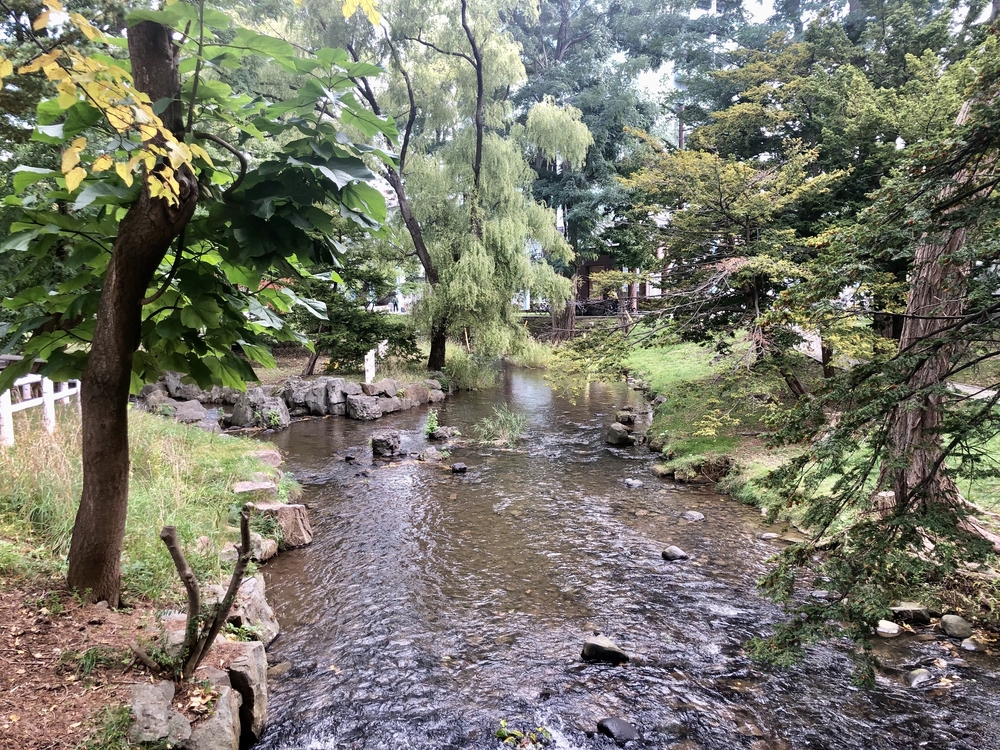 中島公園と豊平川沿いランニングの写真7