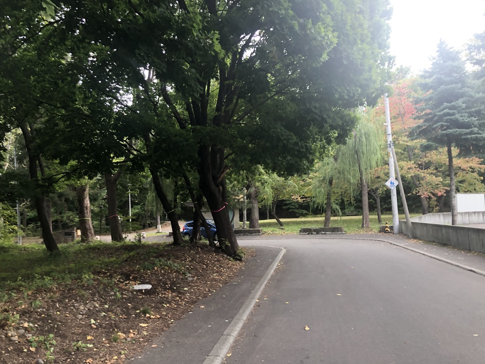 中島公園と豊平川沿いランニングの写真14