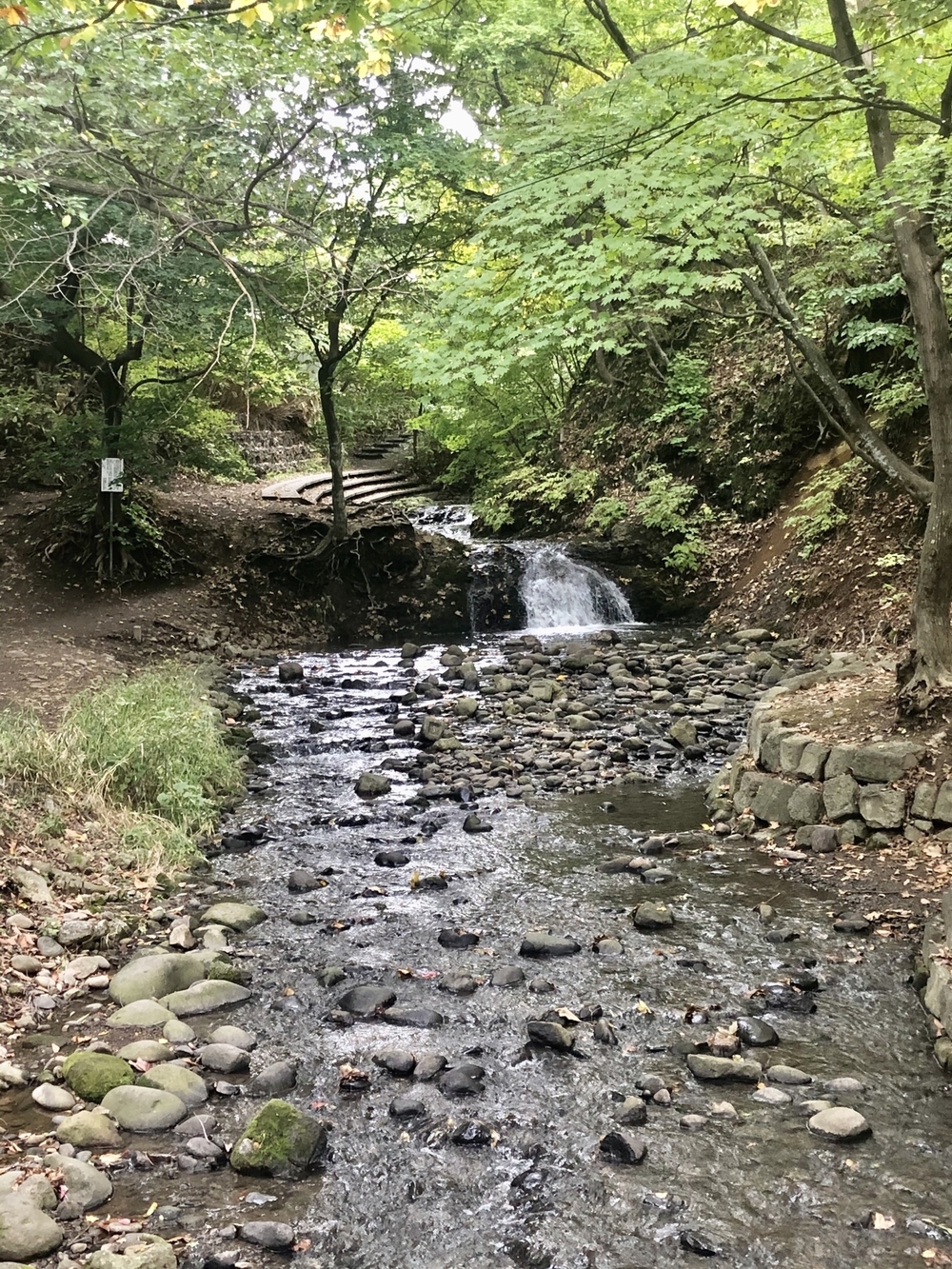 中島公園と豊平川沿いランニングの写真15