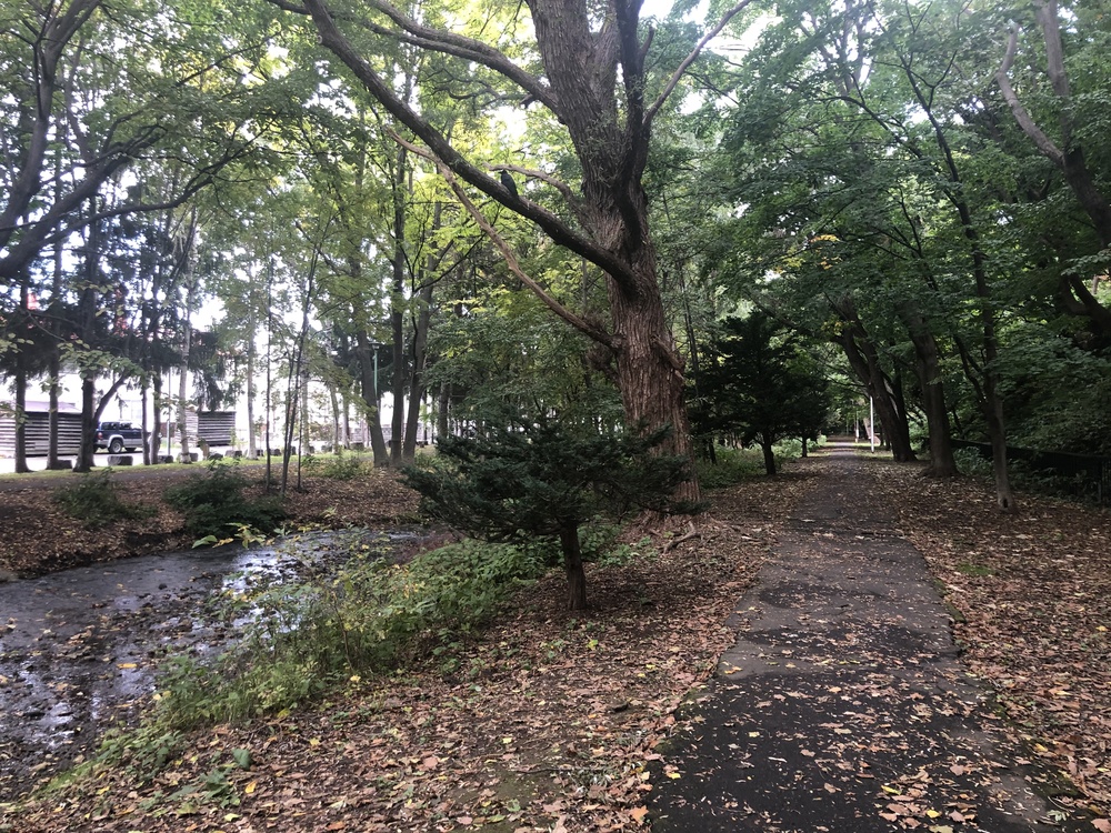 中島公園と豊平川沿いランニングの写真16
