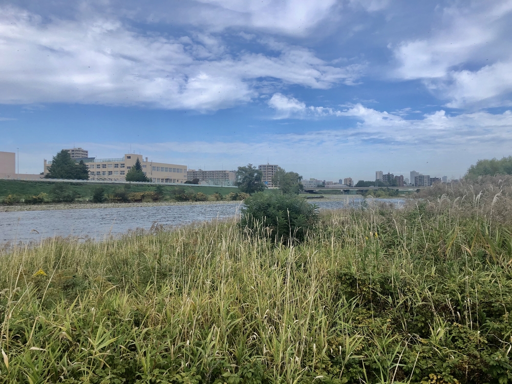 中島公園と豊平川沿いランニングの写真17
