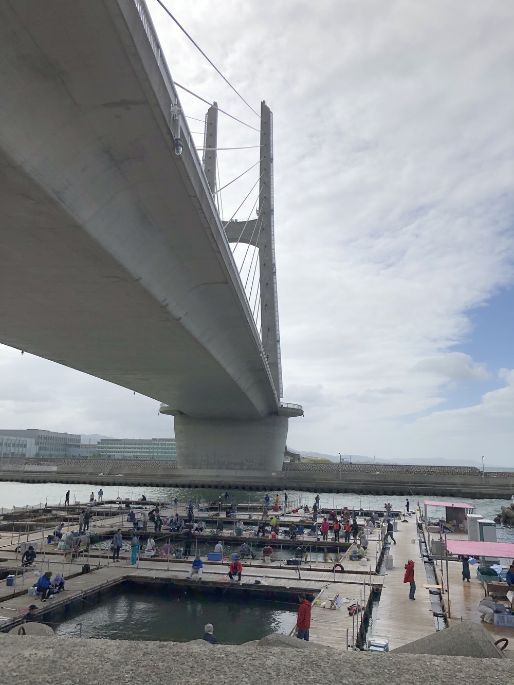 関西空港を臨みながら快走コースの写真3