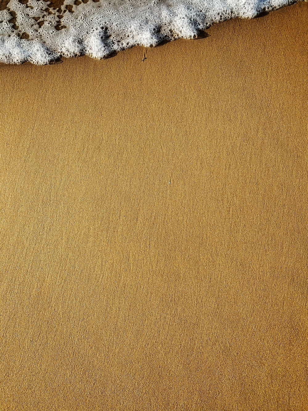 山道が多い8kmの写真4