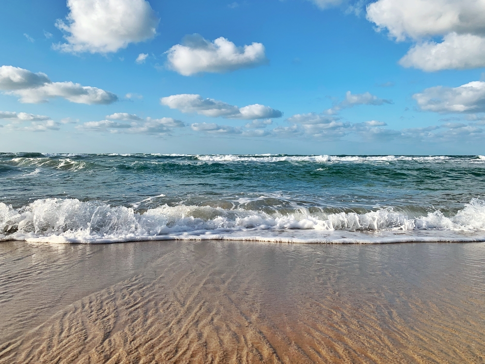 山道が多い8kmの写真5