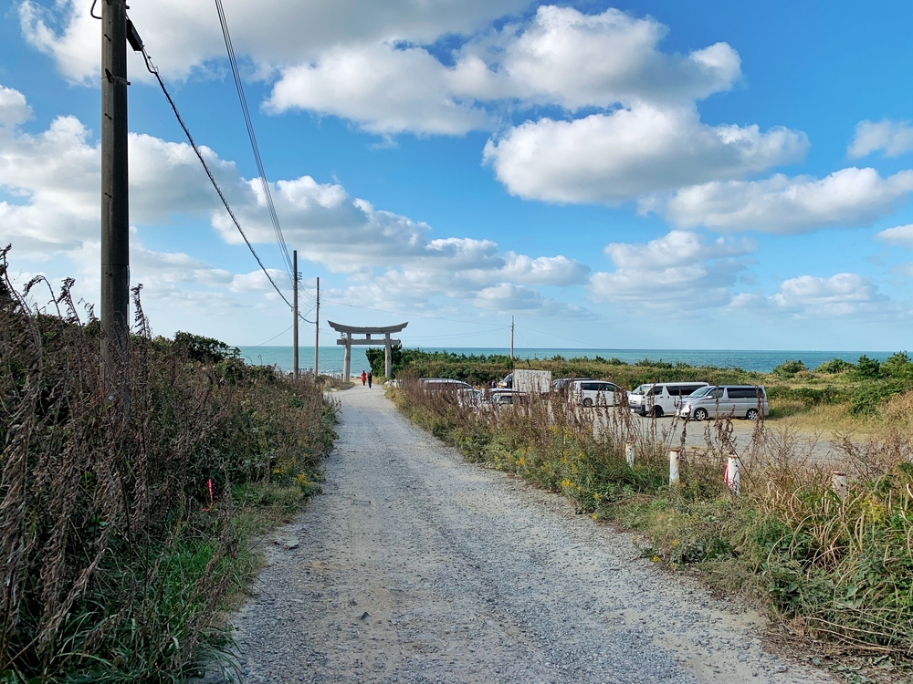 山道が多い8kmの写真6