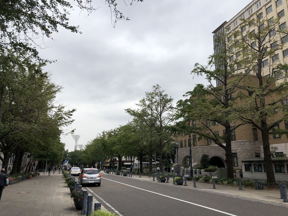 Yokohama Seaside Runtripの写真6