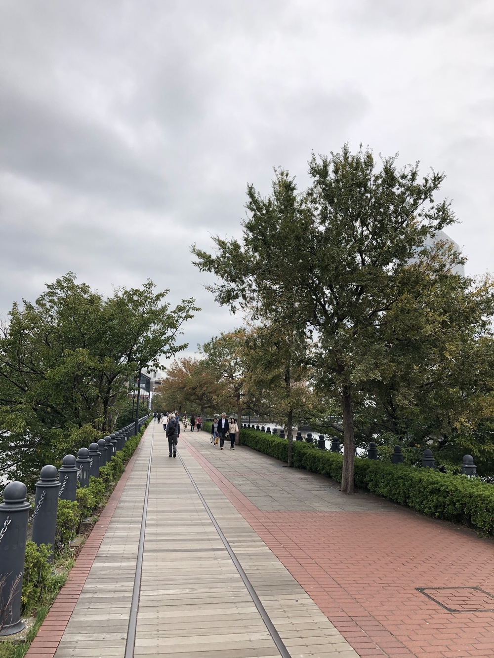 Yokohama Seaside Runtripの写真9