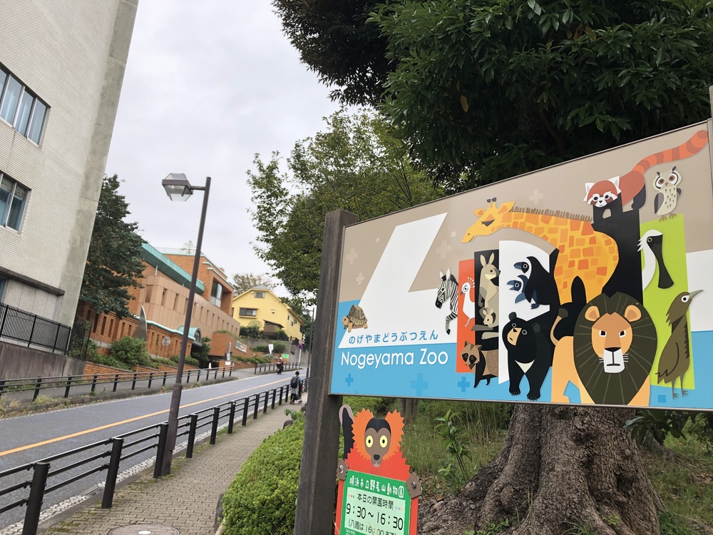 Yokohama Hillside Runtripの写真7